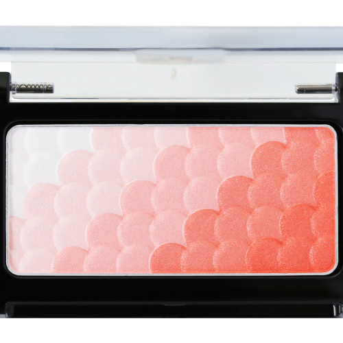 リッチチークカラー